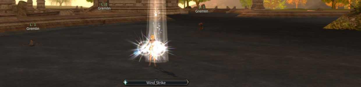 exp.jpg
